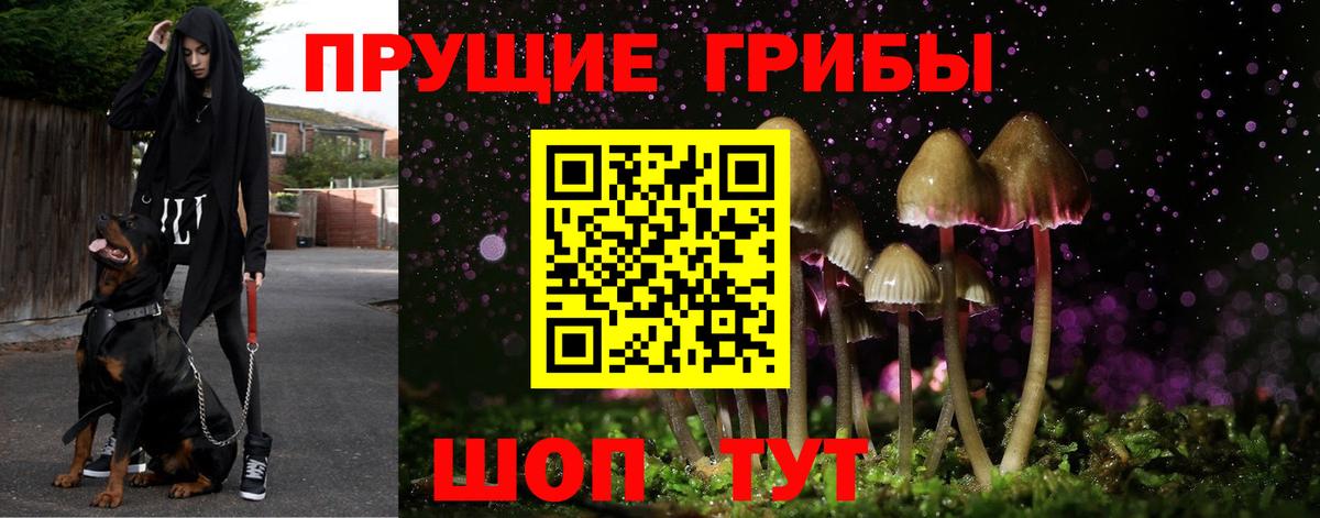 Галлюциногенные грибы мицелий Калач-на-Дону